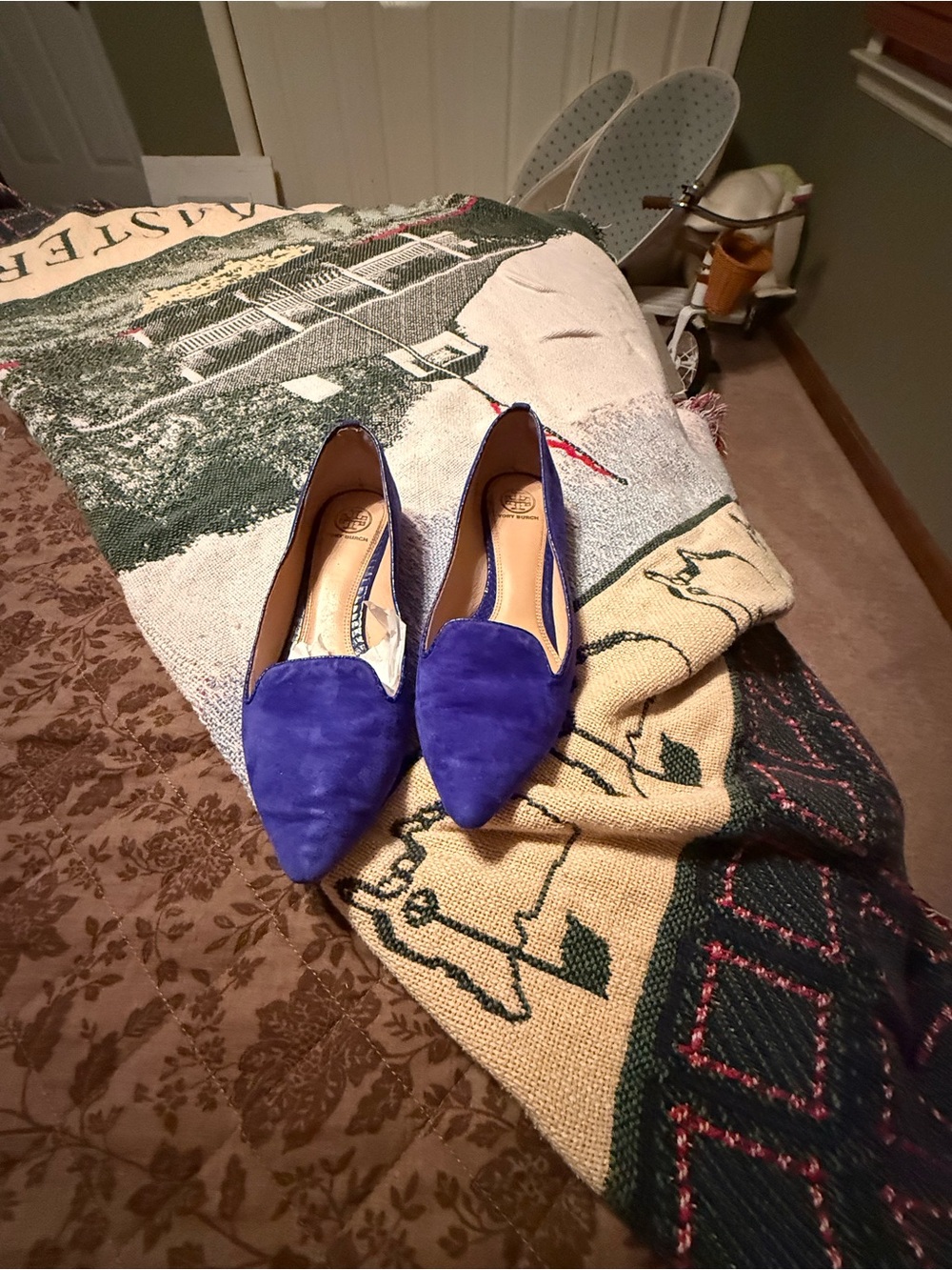 Women's Pointed Suede Flats - Royal Blue